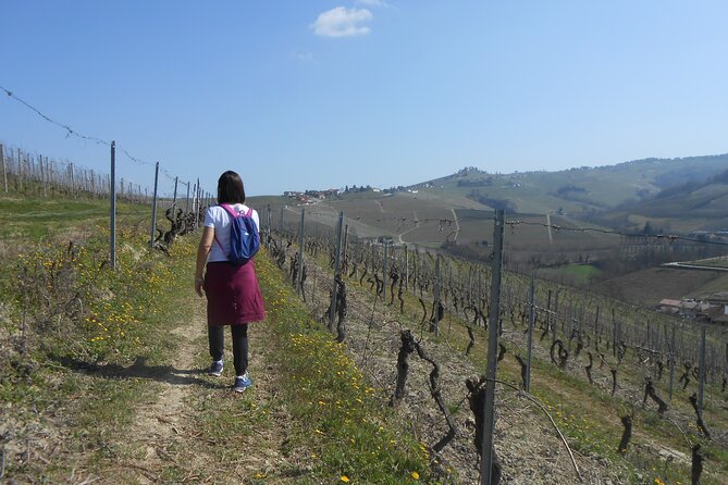 Scenic Langhe Hike and Wine Tasting From Alba  - Langhe-Roero and Monferrato - Good To Know