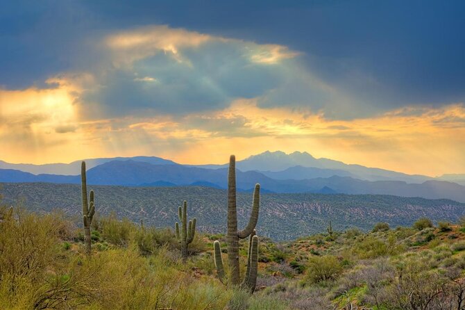 Scottsdale Guided U-Drive UTV Sand Buggy Adventure in the Sonoran Desert - Good To Know
