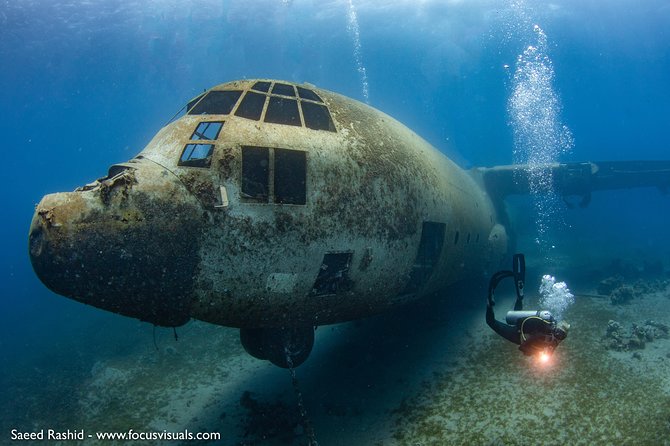 Scuba Diving for Certified Divers - Good To Know