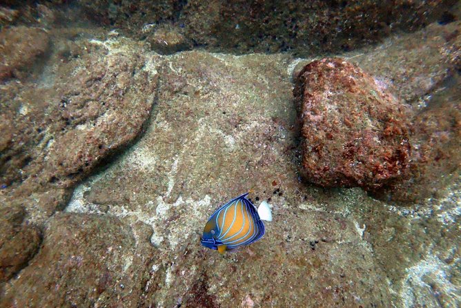 Scuba Diving in Mirissa - Good To Know