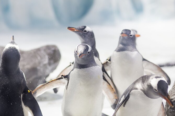 SEA LIFE Konstanz Admission Ticket - Key Points