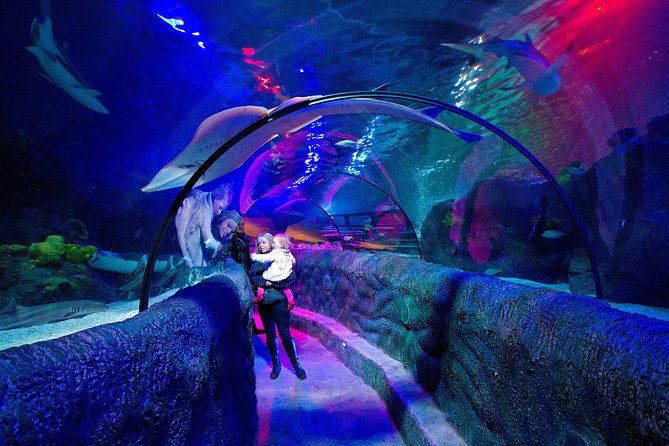 SEA LIFE Loch Lomond General Admission Ticket - Overview and Admission Details