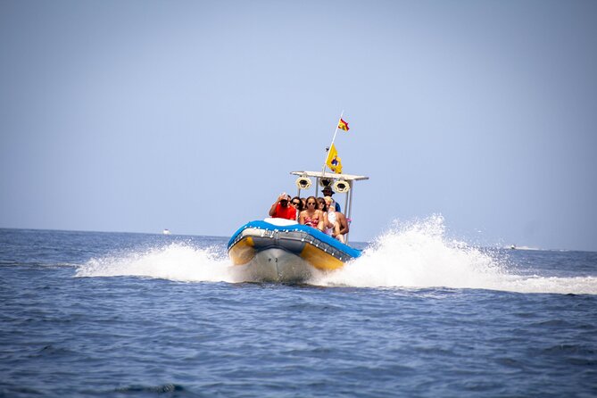 SEA SAFARI Dolphins,Whales, Snorkeling, Snack, Drink, 3h Private - Good To Know