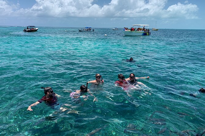 Second Largest Barrier Reef Adventure Snorkeling - Tour Overview