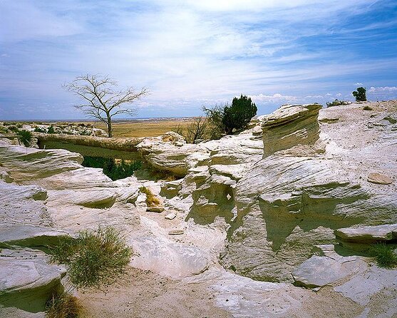 Sedona to Petrified Forest/Painted Desert Adventure PRIVATE TOUR! - Good To Know