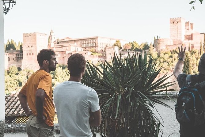 See Granadas Beauty Unfold on a Private Walking Tour - Exploring the Alhambras Architectural Marvels