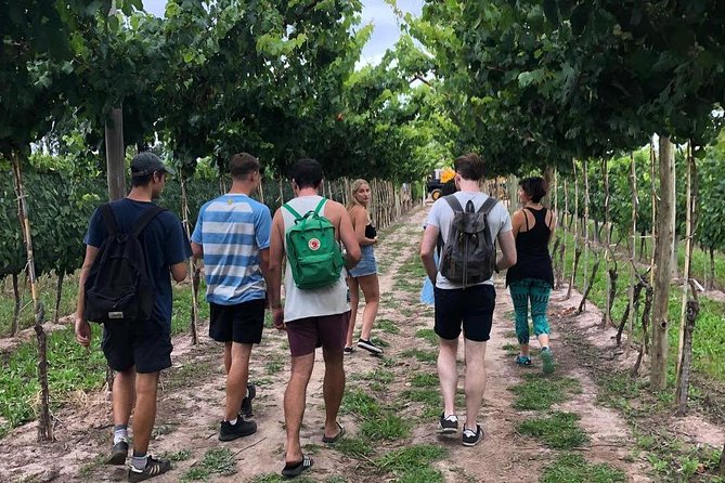 Self-Guided Bike Tour in Luján De Cuyo (Mendoza) - Tour Overview