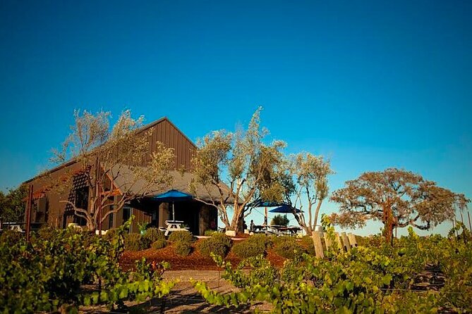 Semi-Private, Modified Hop-On Hop-Off Wine Tour From San Luis Obispo & Pismo - Good To Know