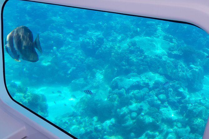 Semi Submarine Tour in Saint Anne Marine National Park - Good To Know