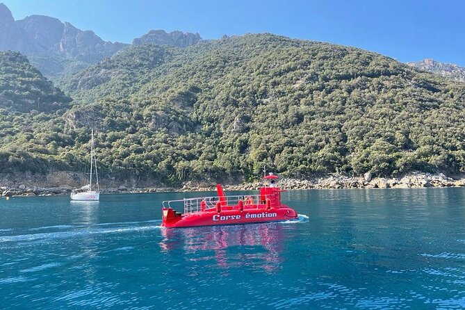 Semi-Submarine: Visit to the Seabed of Porto Bay - Good To Know