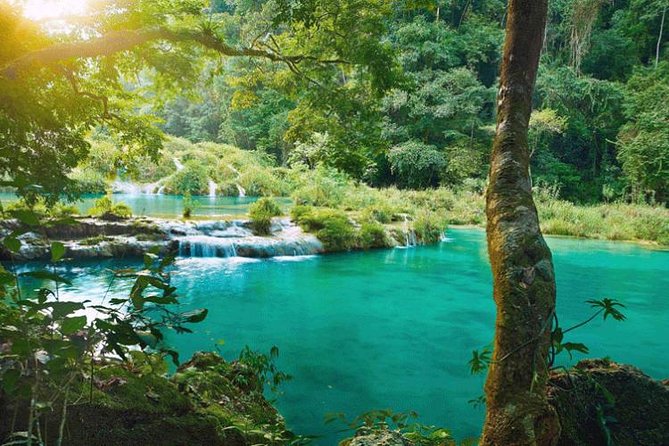Semuc Champey: Discover Its Paradisiacal Turquoise Waters - Full Day From Coban - About Your Stay