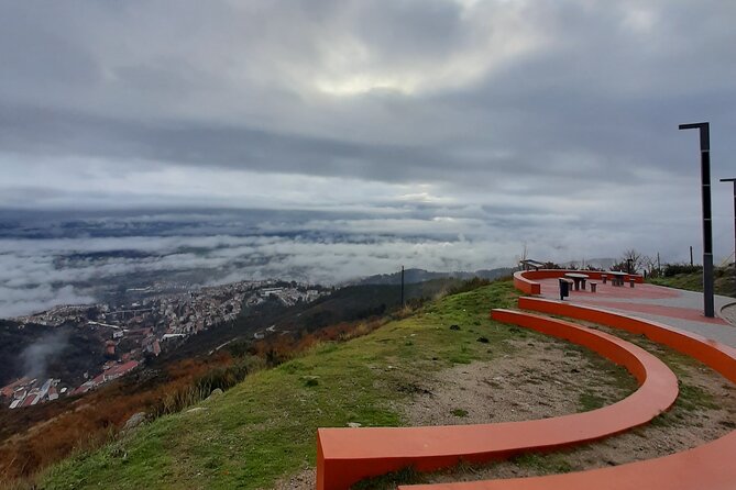 Serra Da Estrela S1 - Tasting Cheese - Pricing Details