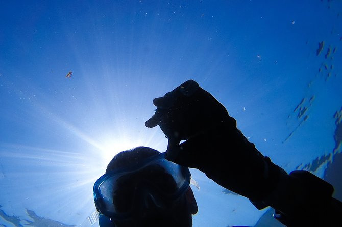 Sesimbra Small-Group Snorkeling Tour  - Setubal District - Good To Know