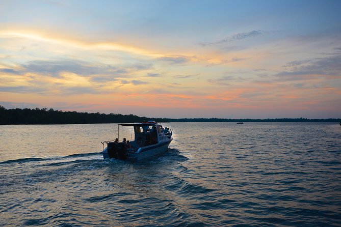 Shared Mangrove & Irrawaddy Dolphin Watching Cruise - Good To Know