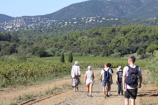Shared Tour - Wine Tour From Saint Tropez - Good To Know