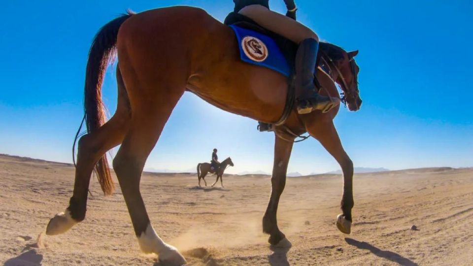 Sharm: ATV Safari, Horse Ride & Camel Ride With Breakfast - Good To Know