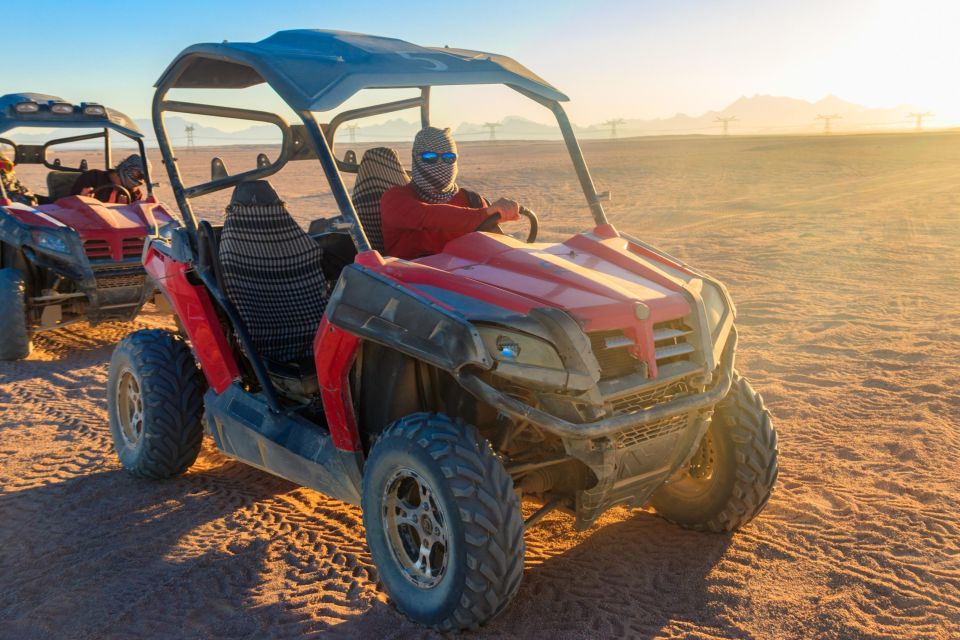 Sharm: Desert Adventures ATV, Buggy, Horse Ride & Camel Ride - Good To Know