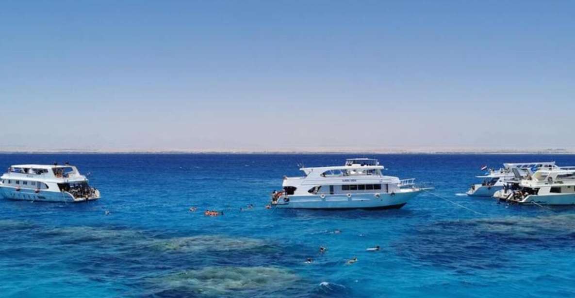 Sharm El-Sheik: Coral Reef Glass-Bottom Boat Tour - Good To Know