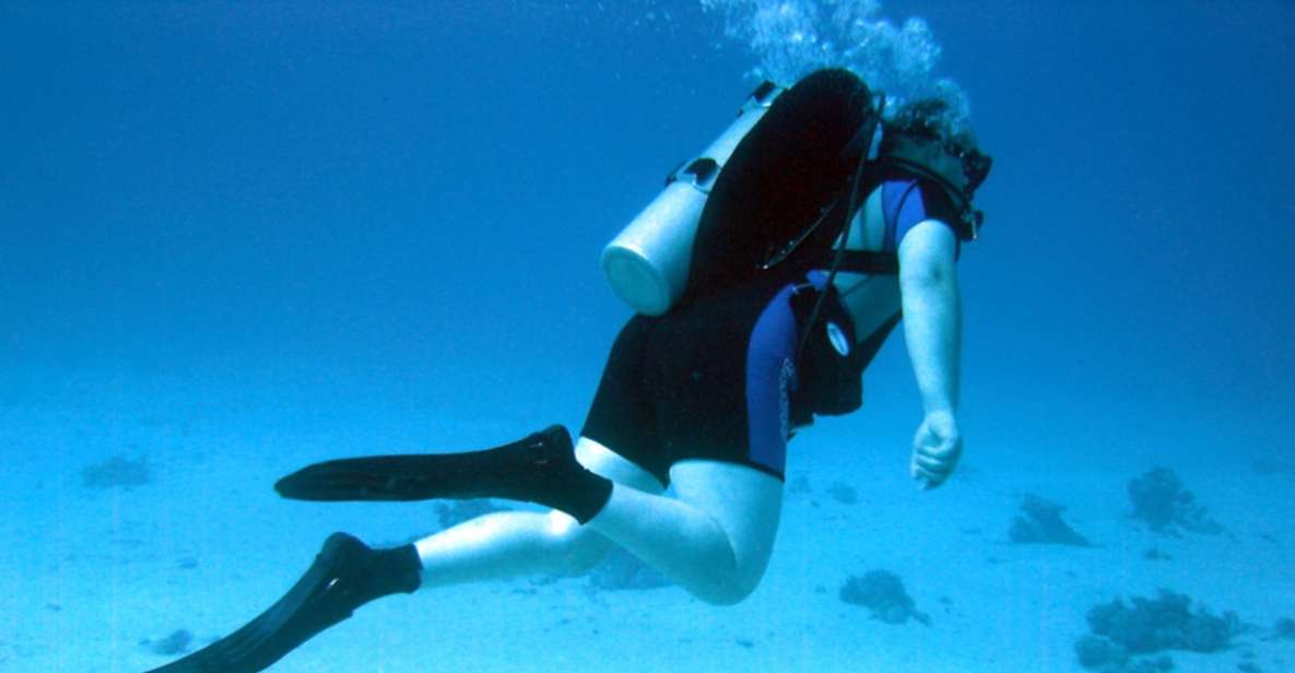 Sharm El-Sheikh: Guided Shore Scuba Diving at 2 Dives | Travel Buddies