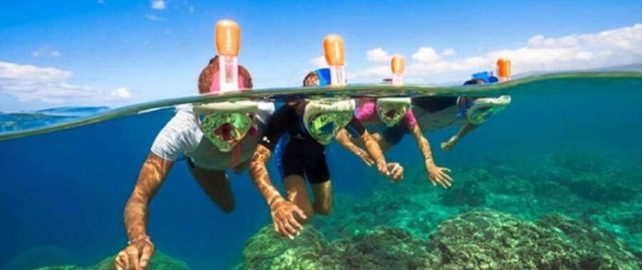 Sharm El Sheikh: Private Speedboat Afternoon Snorkeling Tour