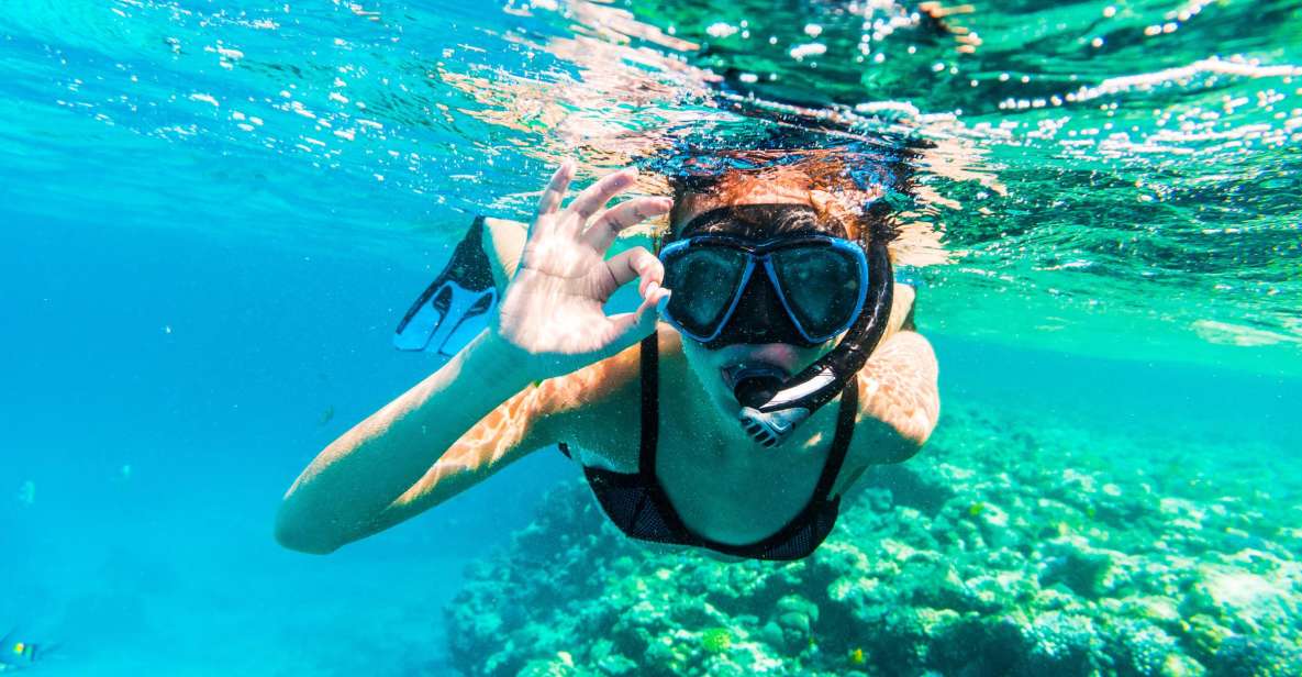 Sharm El Sheikh: Snorkeling at Ras Mohamed & White Island - Good To Know