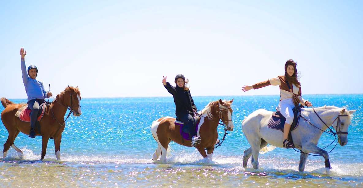 Sharm El Shiekh: Beach and Desert Horse Riding Tour - Good To Know