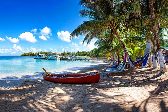 Shore Excursion: Half-Day Horseback Ride With Glass Bottom Boat - Good To Know