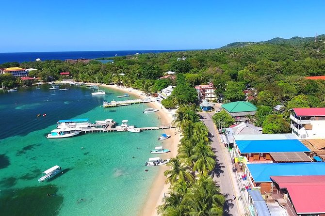 Shore Excursion: Horseback Riding With Wildlife and Reef Snorkel - Good To Know