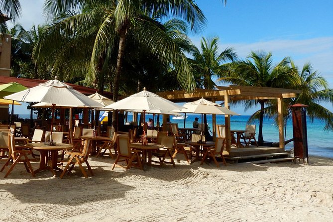 Shore Excursion: Wildlife Eco-Park With Chocolate and Rum Tasting - Itinerary Highlights
