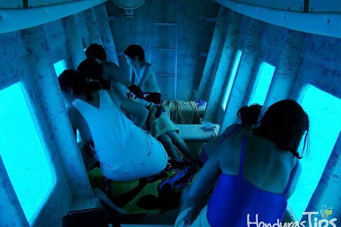 Shore Excursion: Zip Line Adventure and Glass Bottom Boat - Good To Know
