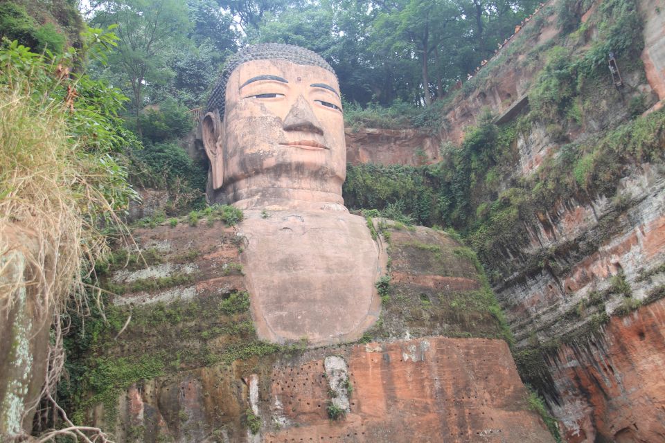 Sichuan: Giant Panda and Leshan Buddha Sall Group Day Tour - Good To Know