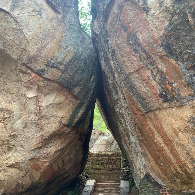 Sigiriya Rock & Dambulla Minneriya National Park Jeep Safari - Good To Know