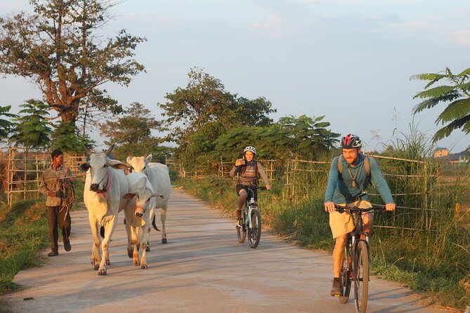 Silk Island at Twilight Cycle Encounter - Good To Know