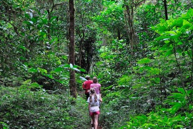 Sinharaja Trekking Trip From Bentota/Kalutara/Hikkaduwa/Galle - Good To Know
