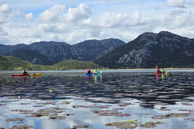 Skadar Lake on Kayaks Experience With Spectacular Views - Good To Know