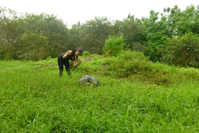 Skip the Line:El Chato 2 Reserve Admission Ticket in Santa Cruz Island,Galapagos - Galapagos Giant Tortoise Encounters