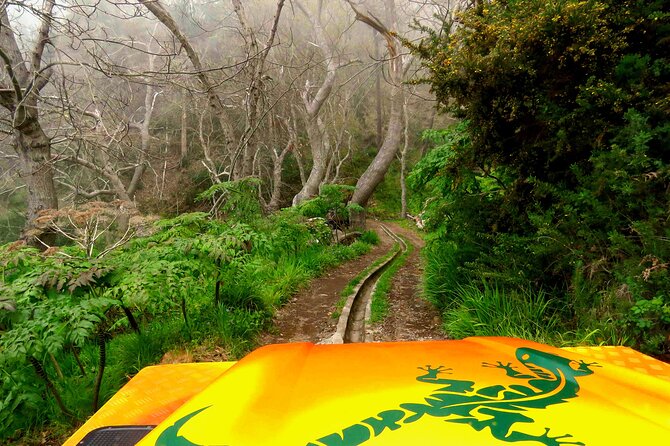 Skywalk, Vineyards, Landscapes and 4x4 Experience in Madeira - Tour Overview