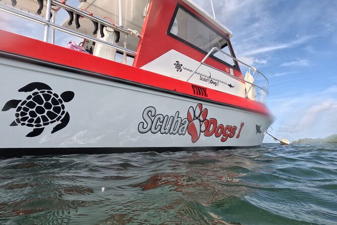 Small-Group Snorkeling Boat Trip in Guánica, Puerto Rico - Overview and Experience