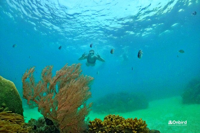 [SMALL-GROUP] SNORKELING & LUNCH - The LARGEST CORAL REEF (Max 9) - Experience Overview