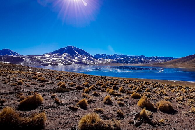 Small-Group Tour Altiplanic Lagoons Red Stones & Flamingo Reserve - Tour Overview and Highlights