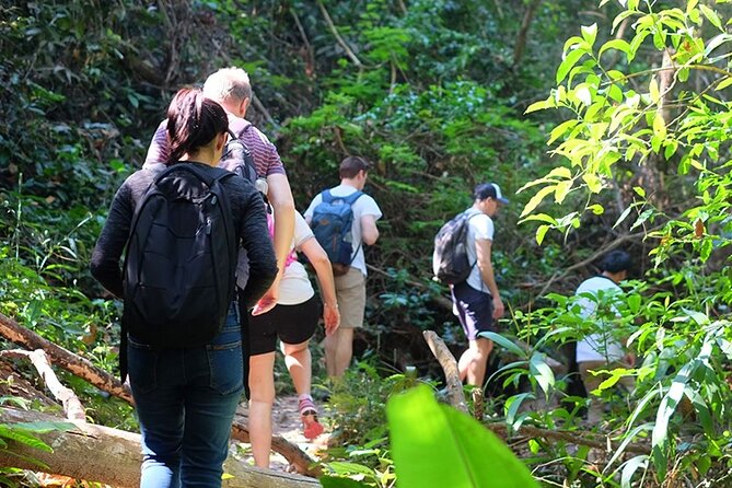 Small Group : Trekking Trip in Chiang Mai (Doi Suthep Area) With Market Tour - Itinerary Highlights