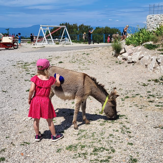 Šmrika (near Rijeka/Krk/Crikvenica) Donkey Farm Entry Ticket - Good To Know