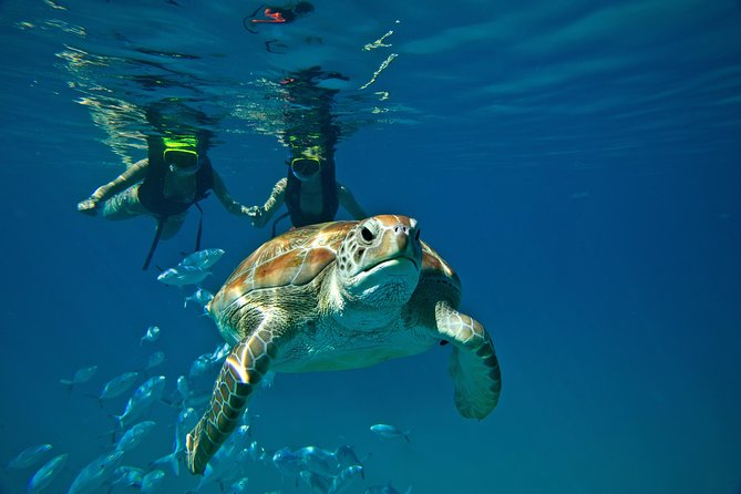 Snorkel Sunset Cruise In Barbados - Overview of the Cruise