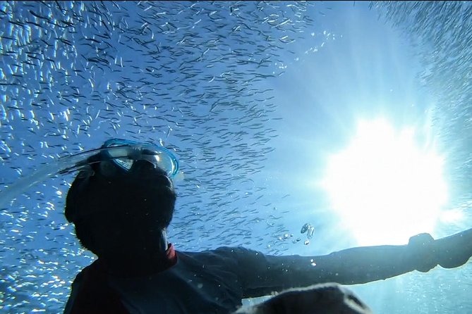 Snorkel Tour in Paraggi Bay