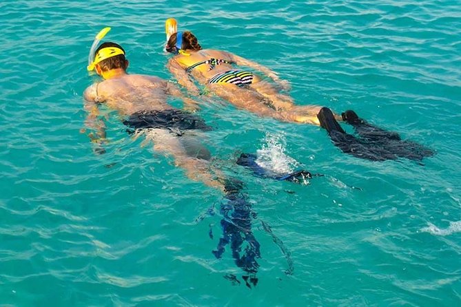 Snorkeling at Mnemba Atoll - Good To Know