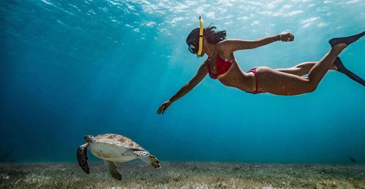 Snorkeling Trip From Polhena Beach, Matara, Sri Lanka - Good To Know