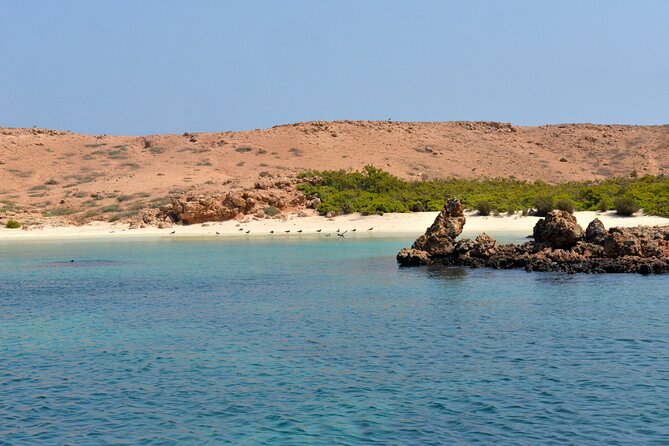 Snorkeling Trips to Daymaniat Islands Sharing Trip - Good To Know