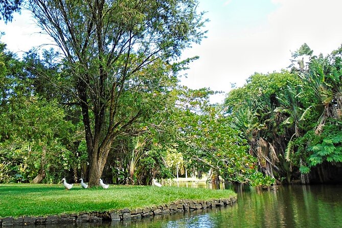 Snorkeling With Giant Turtles, the Red Church, Pamplemousses Garden & Port Louis - Good To Know