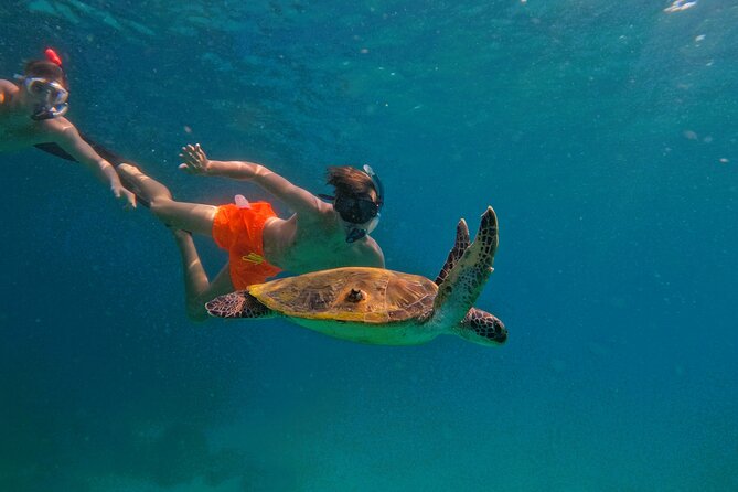 Snorkeling With Turtles in Fujairah With Transfer & BBQ Lunch - Good To Know