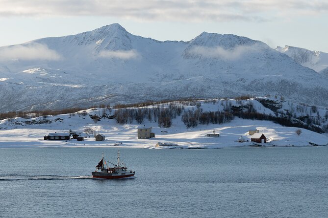 Sommarøy Arctic Day Trip - Good To Know